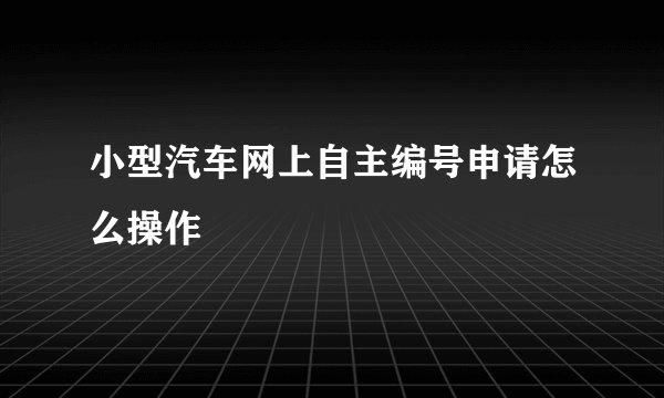 小型汽车网上自主编号申请怎么操作
