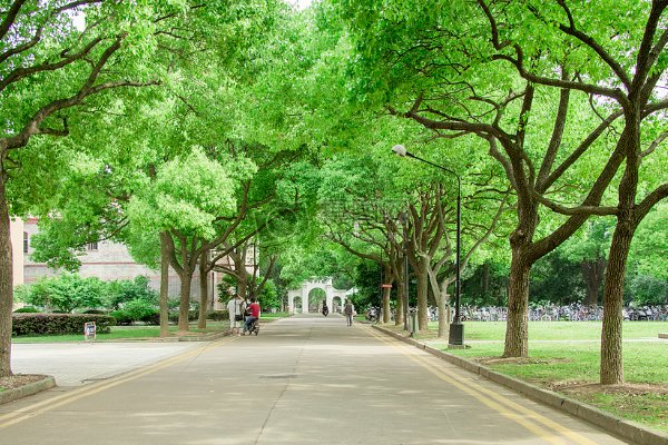 查学校的网站有哪些？