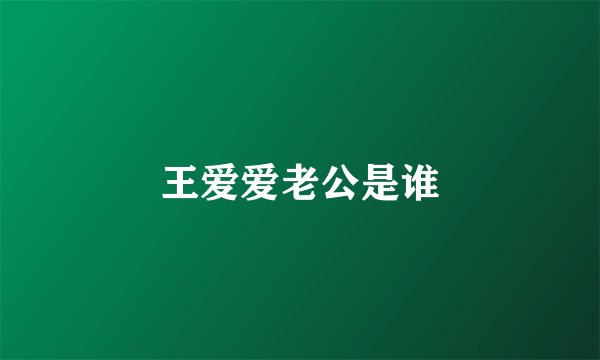 王爱爱老公是谁