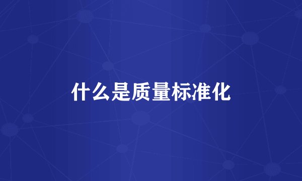 什么是质量标准化