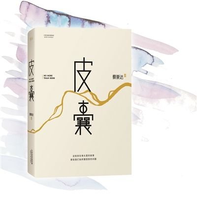 皮囊这本书 讲的是什么内容