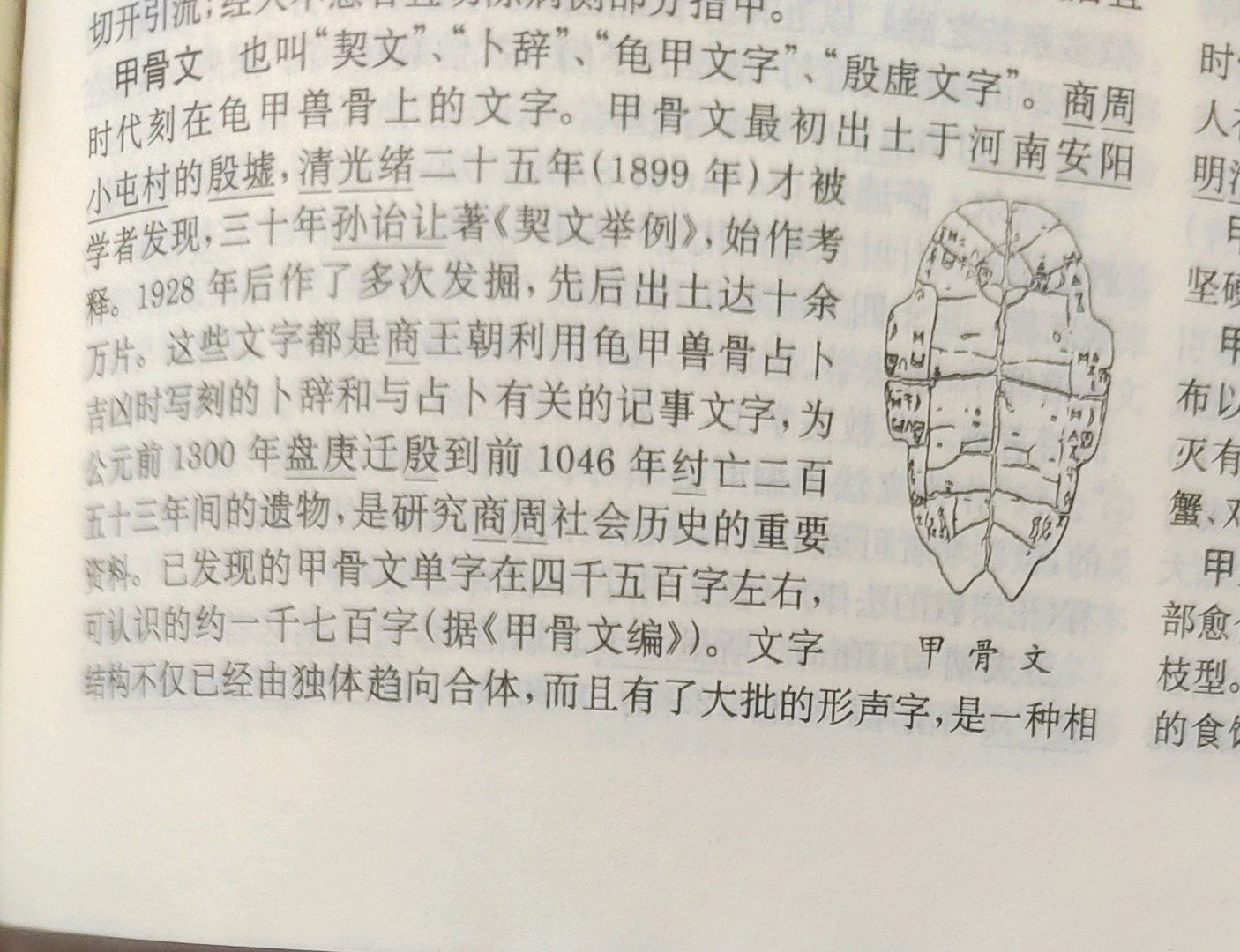 甲骨文为什么叫甲骨文 探究甲骨文名称的由来？