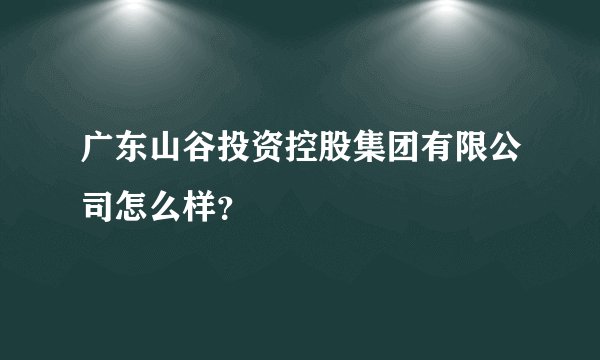 广东山谷投资控股集团有限公司怎么样？