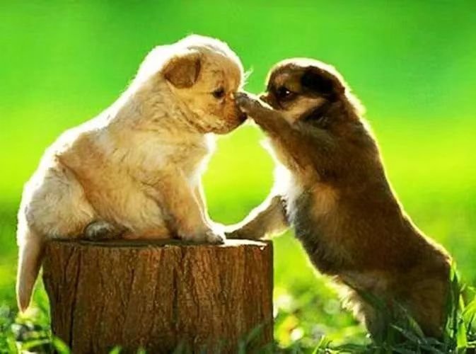 25个安慰自己的方法