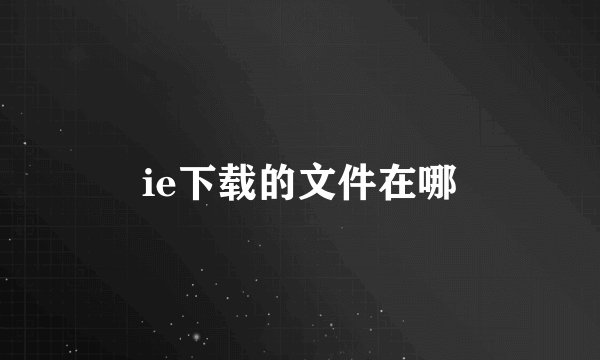 ie下载的文件在哪