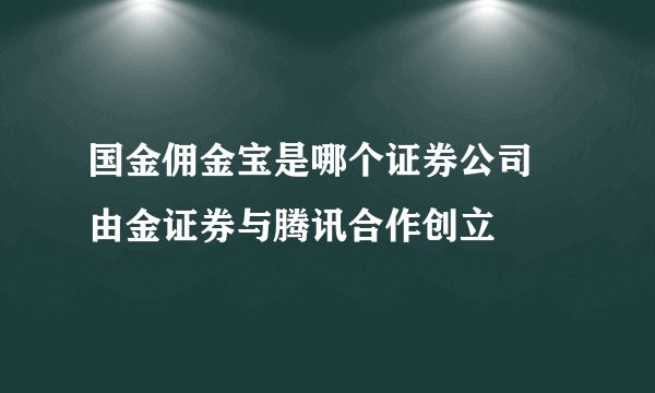 国金佣金宝是哪个证券公司 由金证券与腾讯合作创立