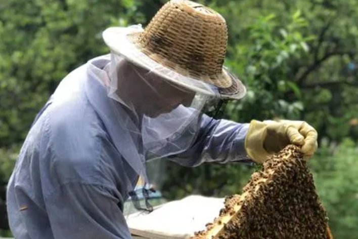 用蜜蜂借物喻人一段话