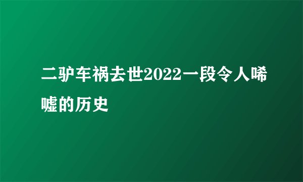 二驴车祸去世2022一段令人唏嘘的历史