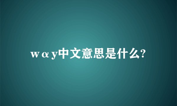 wαy中文意思是什么?