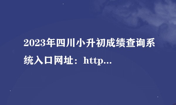 2023年四川小升初成绩查询系统入口网址：http://www.sceea.cn/