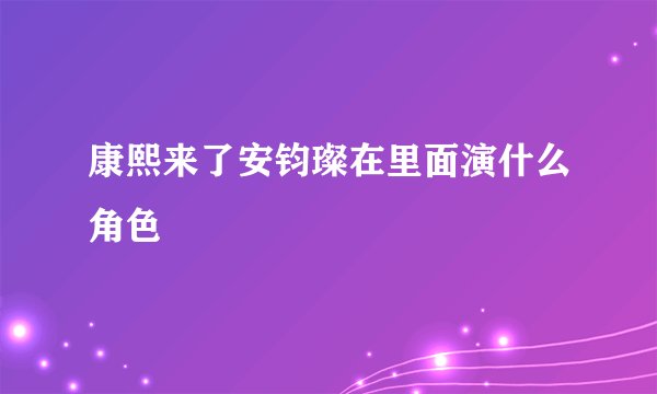 康熙来了安钧璨在里面演什么角色