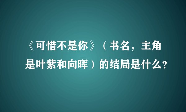 《可惜不是你》（书名，主角是叶紫和向晖）的结局是什么？