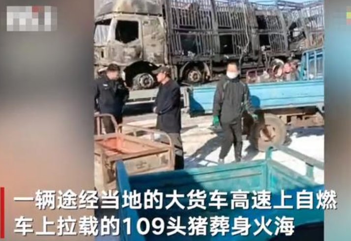 货车起火上百头猪葬身火海，司机是否受伤？