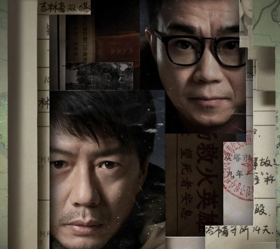 《双探》根据什么真实案件改编？