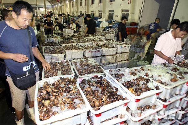 苏州螃蟹市场扎蟹月收入过万,为何工资这么高?