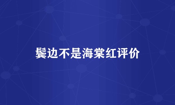 鬓边不是海棠红评价