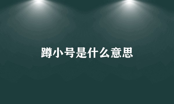蹲小号是什么意思