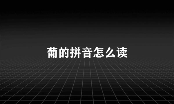 葡的拼音怎么读