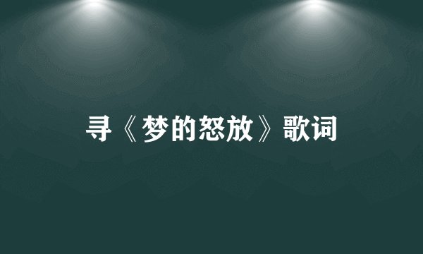 寻《梦的怒放》歌词