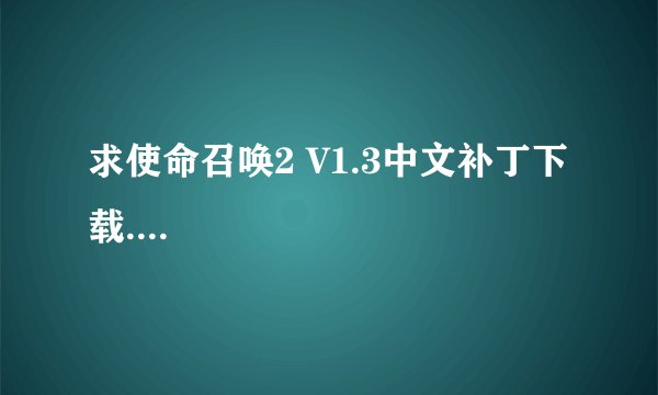 求使命召唤2 V1.3中文补丁下载....