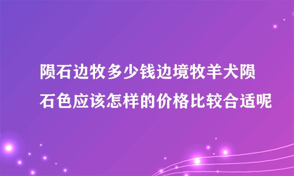 陨石边牧多少钱边境牧羊犬陨石色应该怎样的价格比较合适呢