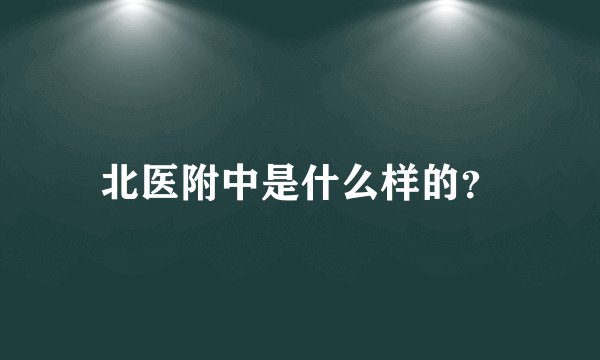 北医附中是什么样的？