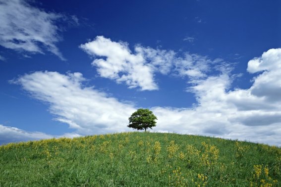 网络语补天是什么意思