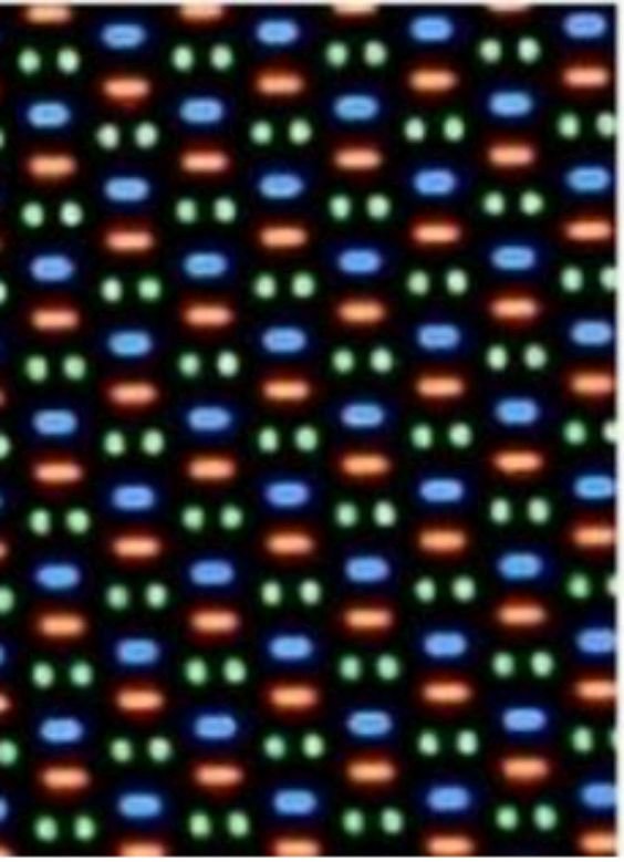 周冬雨屏是什么意思