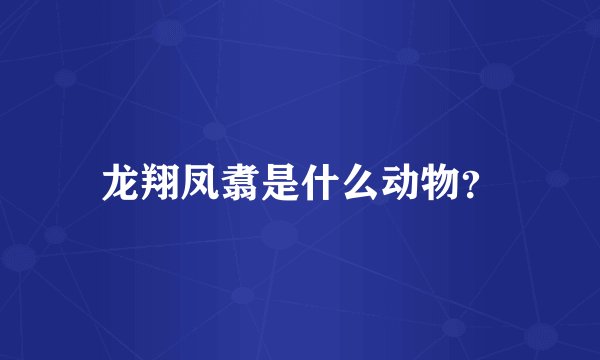 龙翔凤翥是什么动物？