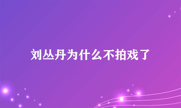 刘丛丹为什么不拍戏了