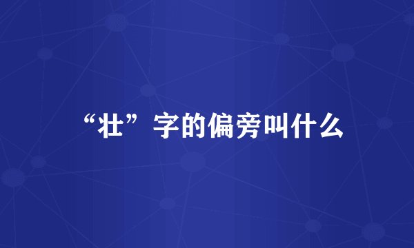 “壮”字的偏旁叫什么