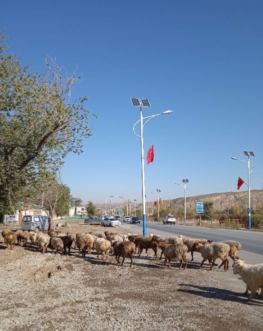 荒野中的羊圈，都市边缘的牧羊人，是什么样的呢？