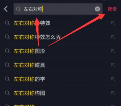 左右脸对称特效在哪
