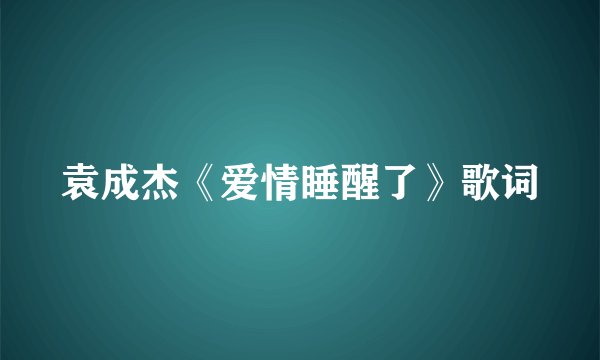 袁成杰《爱情睡醒了》歌词