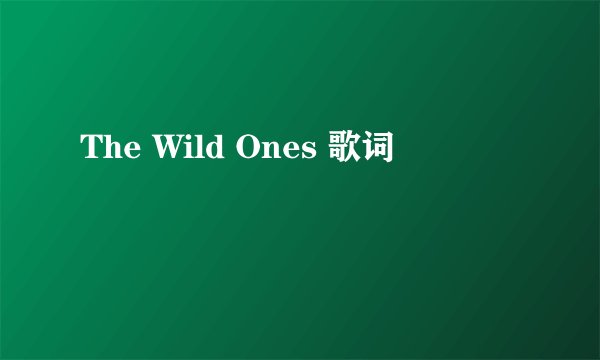 The Wild Ones 歌词