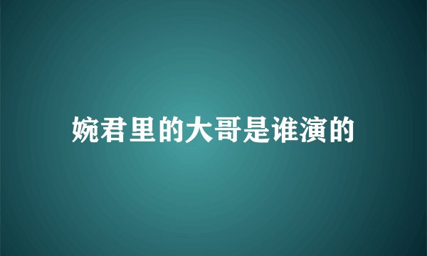 婉君里的大哥是谁演的