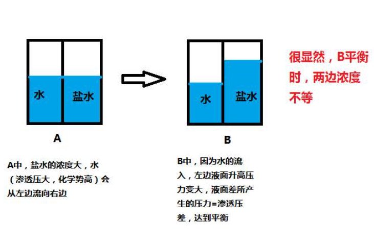 渗透压的计算公式。