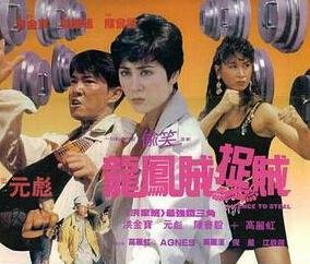 龙凤贼捉贼的介绍