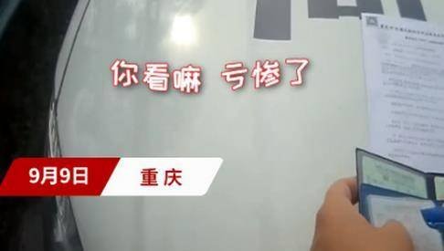 女司机高速应急车道停车炒股，交警对此事如何处罚的