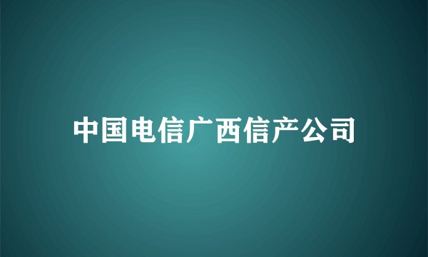 中国电信广西信产公司