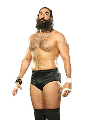 Luke Harper的基本资料
