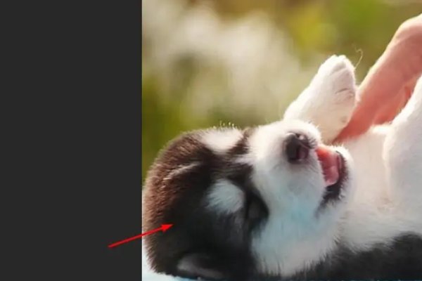 ps怎样插入图片