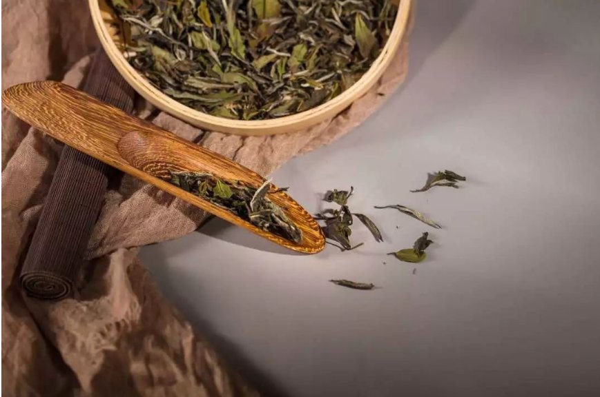 见仁见智近义词