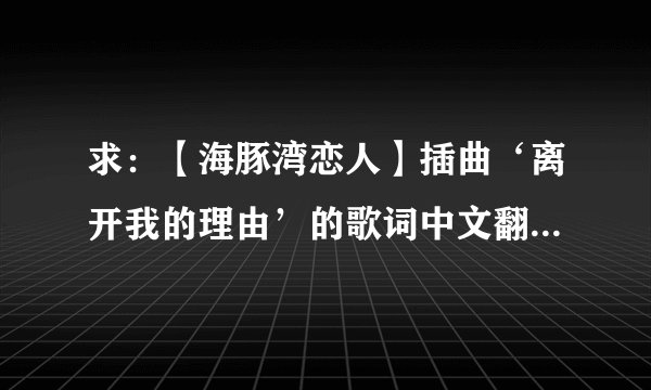 求：【海豚湾恋人】插曲‘离开我的理由’的歌词中文翻译？？？