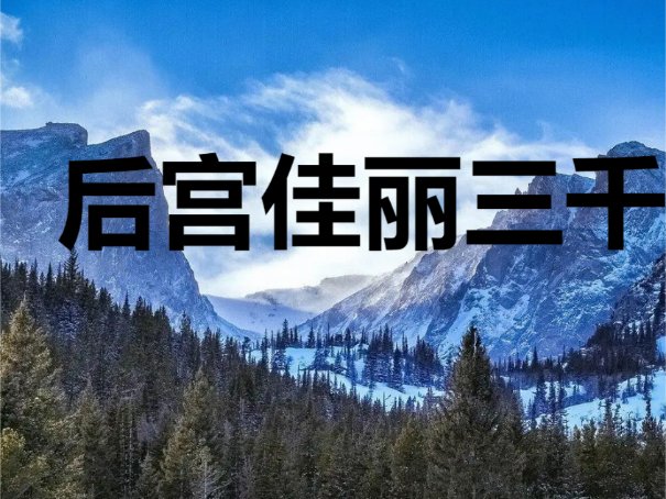 佳丽是什么意思啊