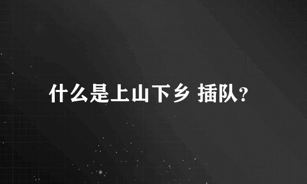 什么是上山下乡 插队？