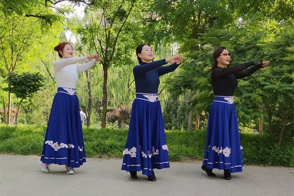 广场舞草原多么美背面分解