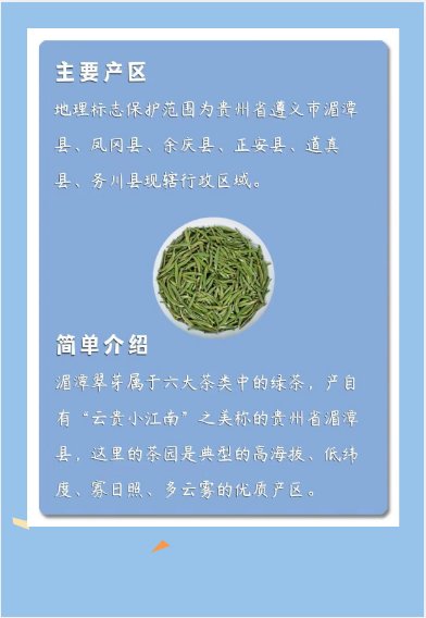 湄潭翠芽