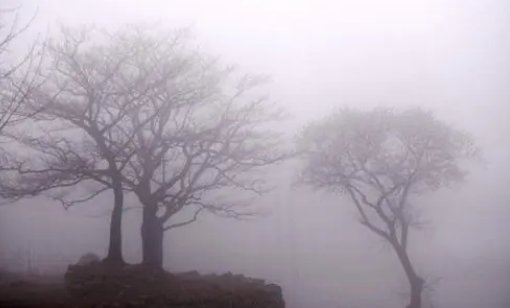 《ABCD》的歌词？？