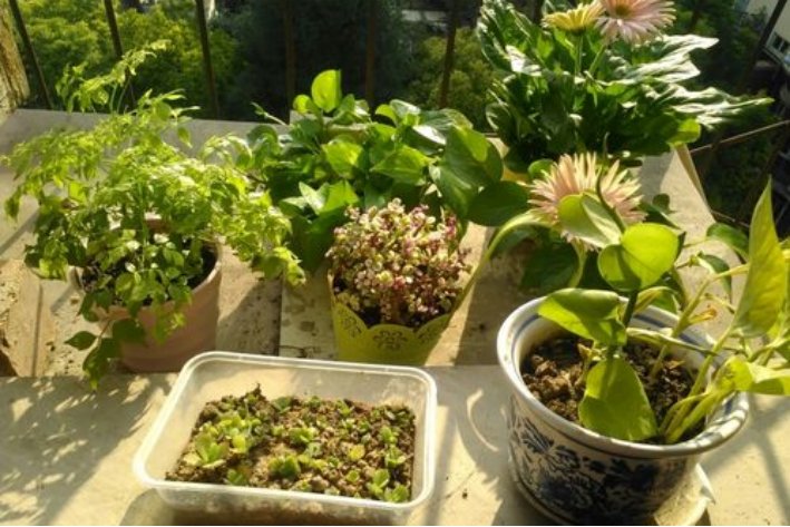 光合作用的能量变化